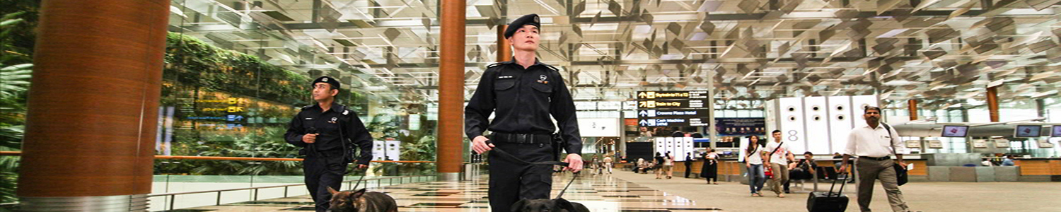 Photo of airport police officers with sniffer dogs