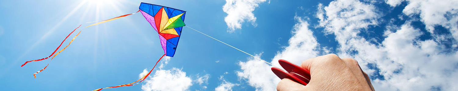 Photo of kite against the sky