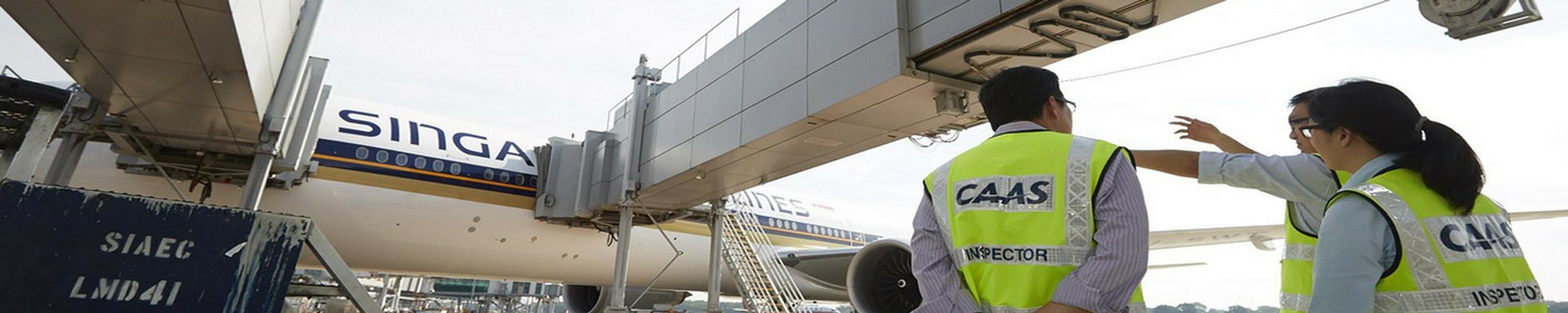 Photo of CAAS inspectors in front of plane