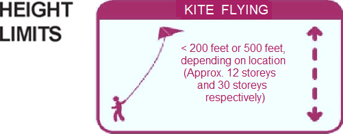 Kite Image
